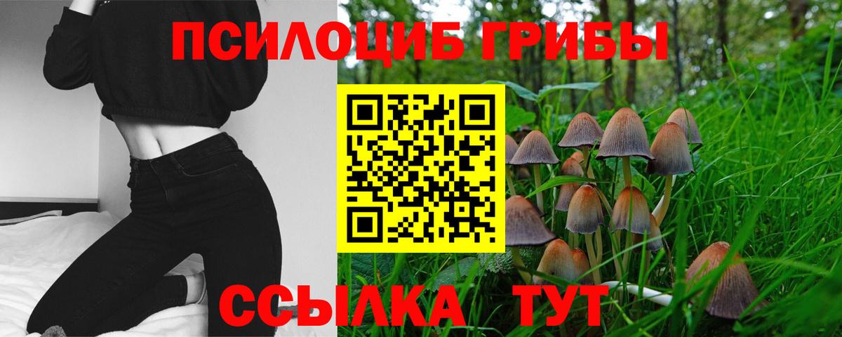 Галлюциногенные грибы Cubensis  Галлюциногенные грибы Psilocybe  Тулун  Вход с VPN 