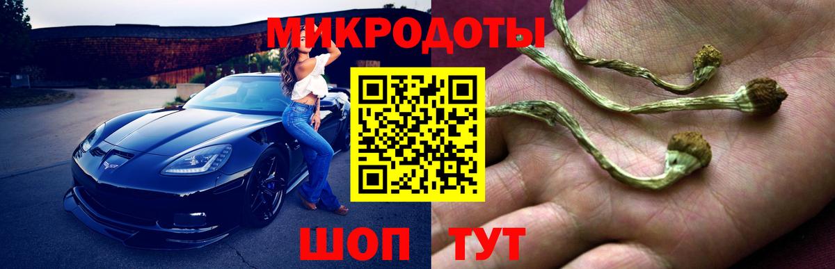 Псилоцибиновые грибы Magic Shrooms Тулун